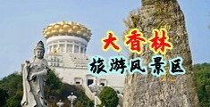 凸轮毛茸茸性中国浙江-绍兴大香林旅游风景区